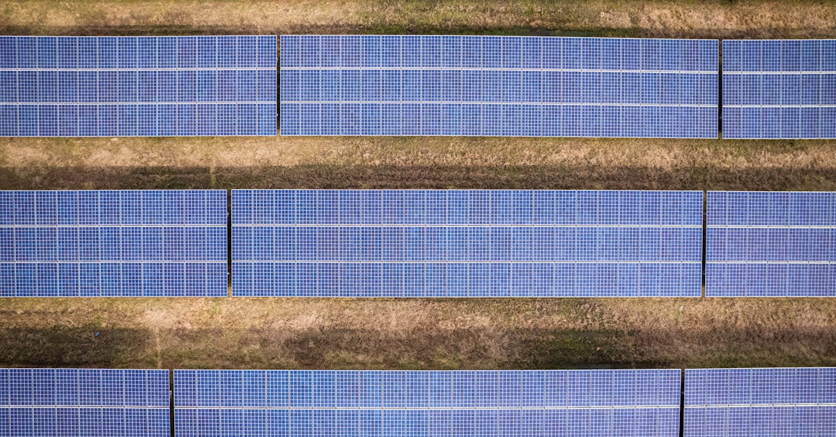 découvrez les enjeux du développement durable, une approche qui vise à concilier croissance économique, protection de l'environnement et justice sociale. informez-vous sur les pratiques écologiques, les innovations durables et les initiatives qui façonnent un avenir responsable pour notre planète.