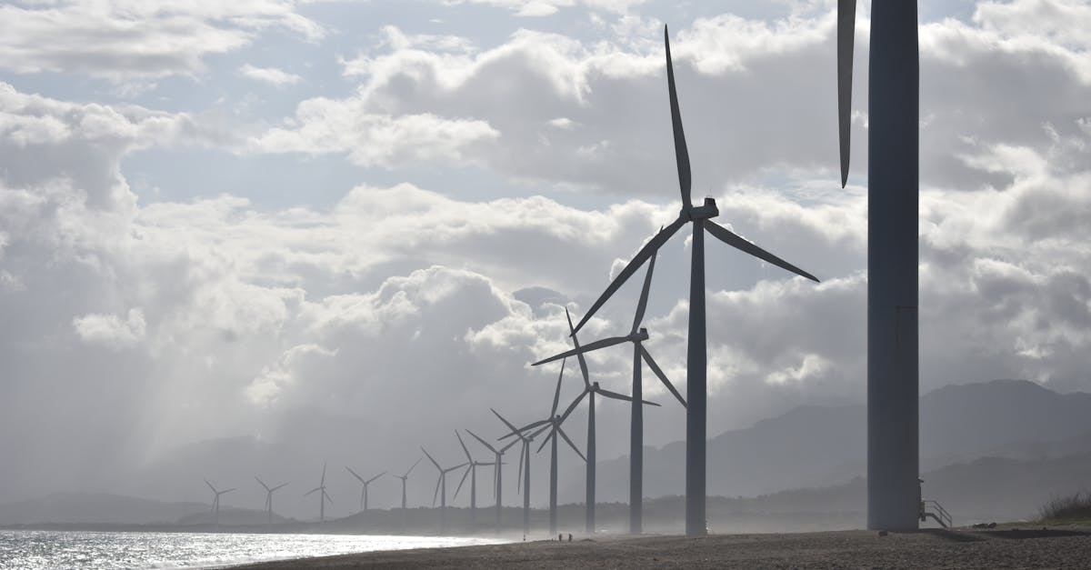 découvrez les principes du développement durable, qui allient croissance économique, inclusion sociale et protection de l'environnement. apprenez comment adopter des pratiques durables pour un avenir meilleur.