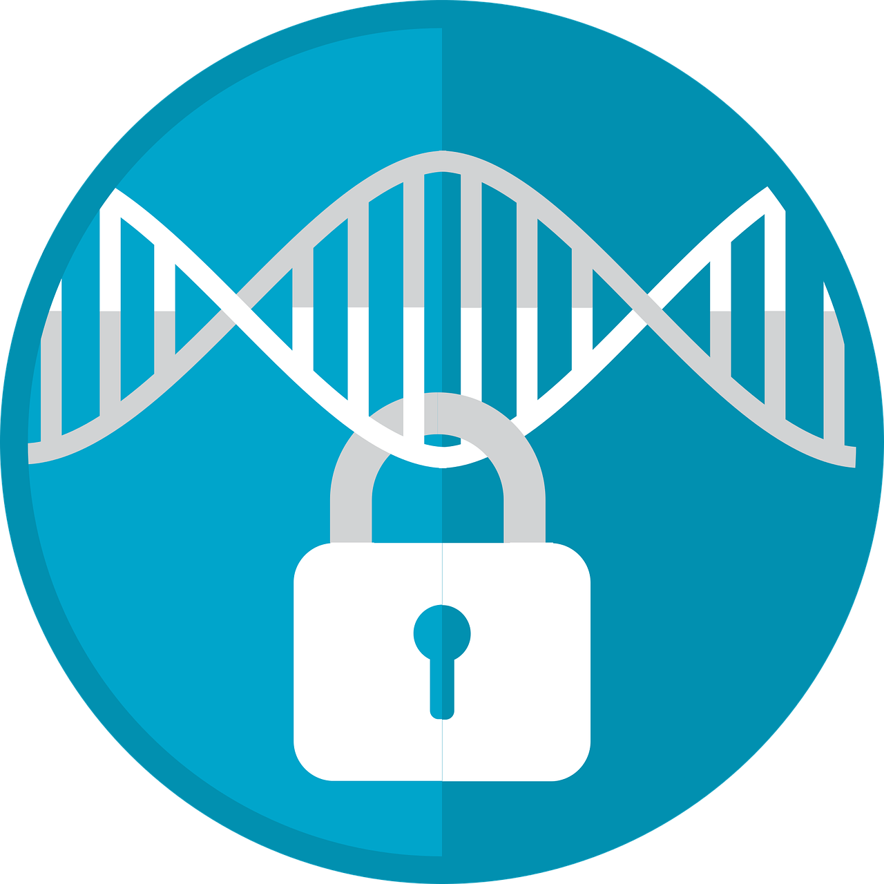 Confidentialité : protégez vos données personnelles en ligne
