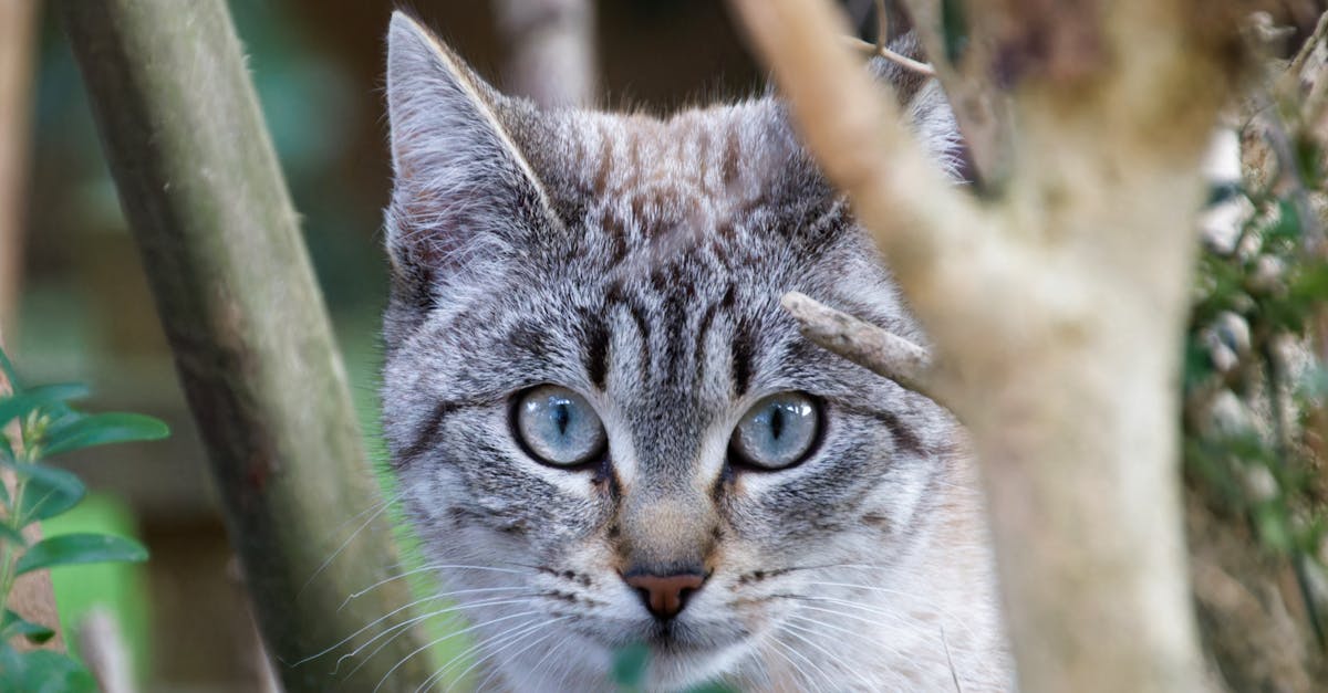 Alertes de contrefaçon : comprendre leur importance pour les consommateurs